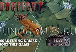 Dogfight Sim
