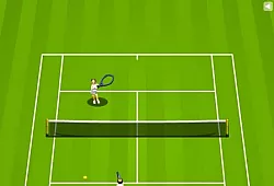 Большой теннис с Курниковой