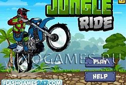 Дорога по джунглям