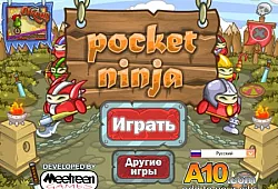 Карманный ниндзя